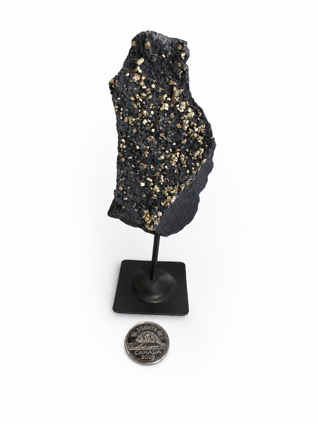 Natural Pyrite on Basalt crystal specimen with metallic gold crystals on display stand.